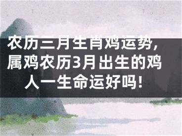 农历三月生肖鸡运势,属鸡农历3月出生的鸡人一生命运好吗!