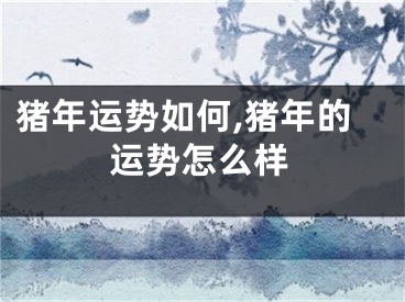 猪年运势如何,猪年的运势怎么样