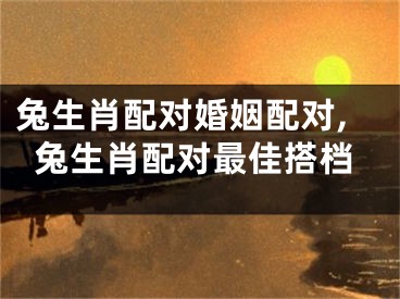 兔生肖配对婚姻配对,兔生肖配对最佳搭档