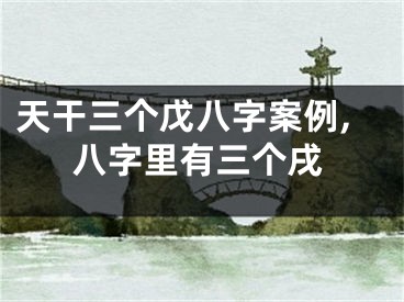 天干三个戊八字案例,八字里有三个戌