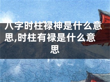 八字时柱禄神是什么意思,时柱有禄是什么意思