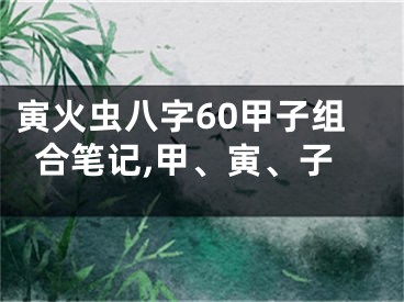 寅火虫八字60甲子组合笔记,甲、寅、子