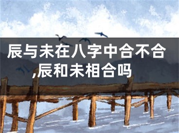 辰与未在八字中合不合,辰和未相合吗