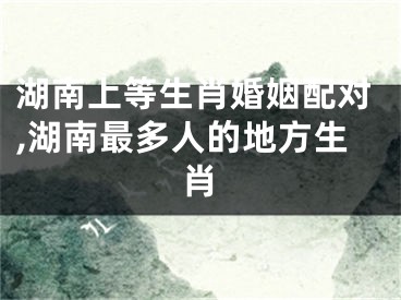 湖南上等生肖婚姻配对,湖南最多人的地方生肖