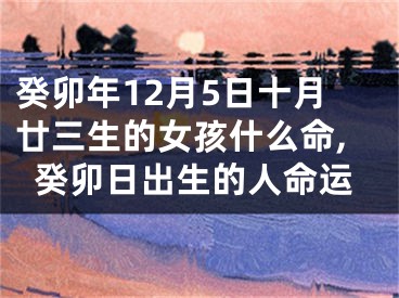 癸卯年12月5日十月廿三生的女孩什么命,癸卯日出生的人命运