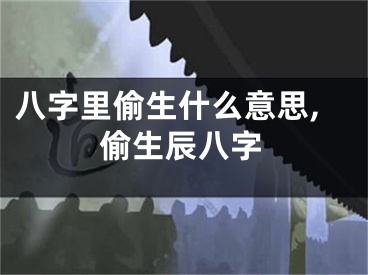 八字里偷生什么意思,偷生辰八字