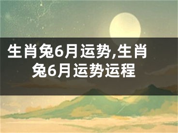 生肖兔6月运势,生肖兔6月运势运程
