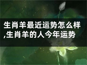 生肖羊最近运势怎么样,生肖羊的人今年运势
