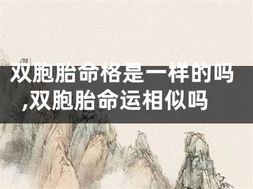 双胞胎命格是一样的吗,双胞胎命运相似吗