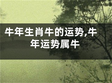 牛年生肖牛的运势,牛年运势属牛
