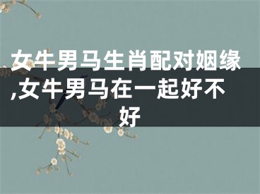 女牛男马生肖配对姻缘,女牛男马在一起好不好