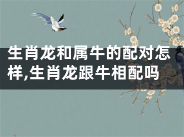 生肖龙和属牛的配对怎样,生肖龙跟牛相配吗