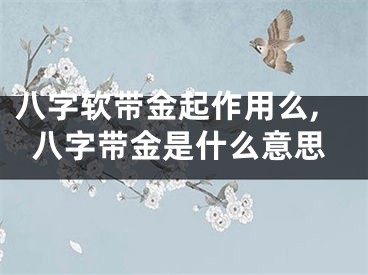 八字软带金起作用么,八字带金是什么意思