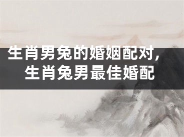 生肖男兔的婚姻配对,生肖兔男最佳婚配