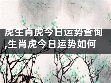 虎生肖虎今日运势查询,生肖虎今日运势如何