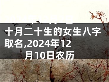 2024年12月2日十月二十生的女生八字取名,2024年12月10日农历