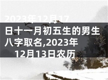 2023年12月17日十一月初五生的男生八字取名,2023年12月13日农历