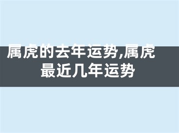 属虎的去年运势,属虎最近几年运势