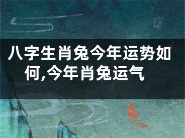 八字生肖兔今年运势如何,今年肖兔运气