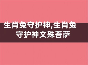 生肖兔守护神,生肖兔守护神文殊菩萨