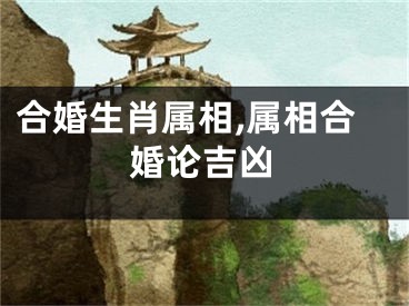 合婚生肖属相,属相合婚论吉凶