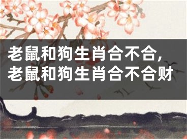 老鼠和狗生肖合不合,老鼠和狗生肖合不合财