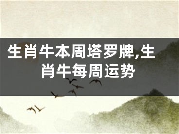 生肖牛本周塔罗牌,生肖牛每周运势