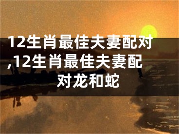 12生肖最佳夫妻配对,12生肖最佳夫妻配对龙和蛇