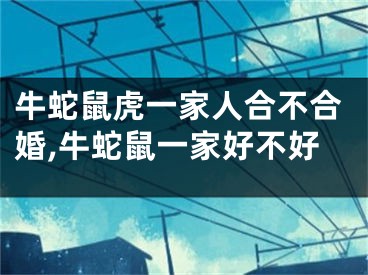 牛蛇鼠虎一家人合不合婚,牛蛇鼠一家好不好