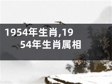 1954年生肖,1954年生肖属相