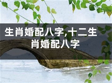 生肖婚配八字,十二生肖婚配八字