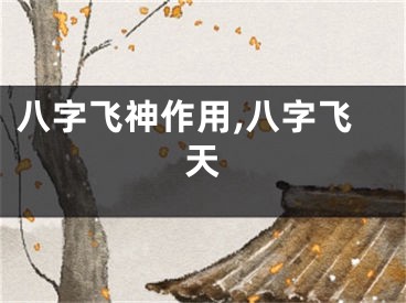 八字飞神作用,八字飞天