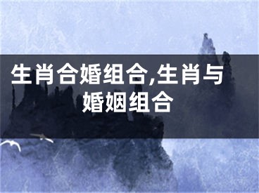 生肖合婚组合,生肖与婚姻组合