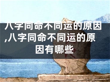 八字同命不同运的原因,八字同命不同运的原因有哪些