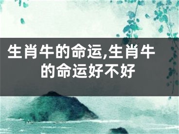 生肖牛的命运,生肖牛的命运好不好