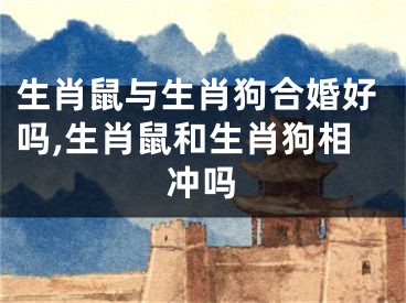 生肖鼠与生肖狗合婚好吗,生肖鼠和生肖狗相冲吗