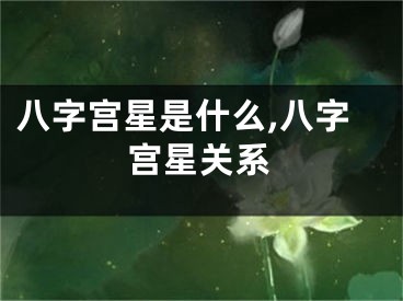 八字宫星是什么,八字宫星关系