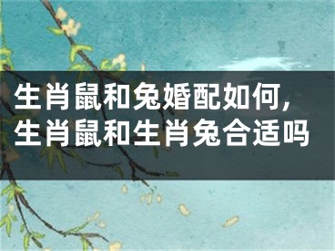 生肖鼠和兔婚配如何,生肖鼠和生肖兔合适吗