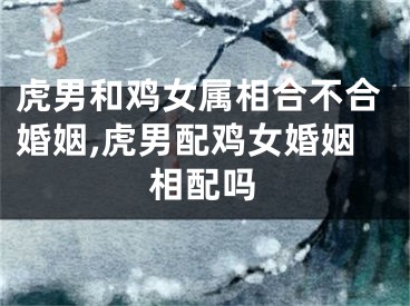 虎男和鸡女属相合不合婚姻,虎男配鸡女婚姻相配吗
