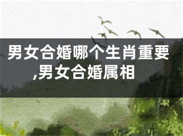 男女合婚哪个生肖重要,男女合婚属相