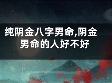 纯阴金八字男命,阴金男命的人好不好