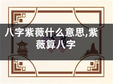 八字紫薇什么意思,紫薇算八字