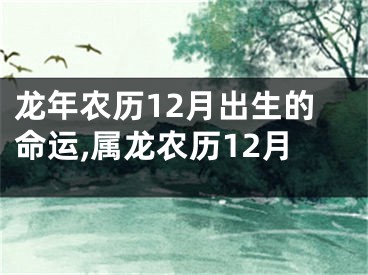龙年农历12月出生的命运,属龙农历12月