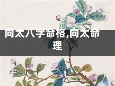 向太八字命格,向太命理
