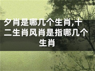 夕肖是哪几个生肖,十二生肖风肖是指哪几个生肖