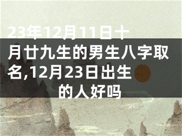 23年12月11日十月廿九生的男生八字取名,12月23日出生的人好吗