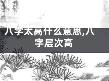 八字太高什么意思,八字层次高