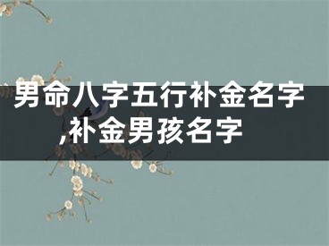 男命八字五行补金名字,补金男孩名字