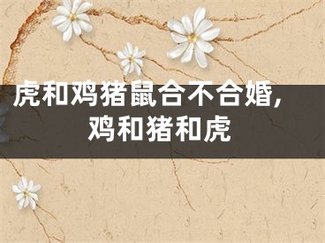虎和鸡猪鼠合不合婚,鸡和猪和虎