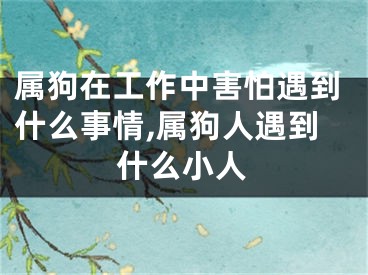 属狗在工作中害怕遇到什么事情,属狗人遇到什么小人